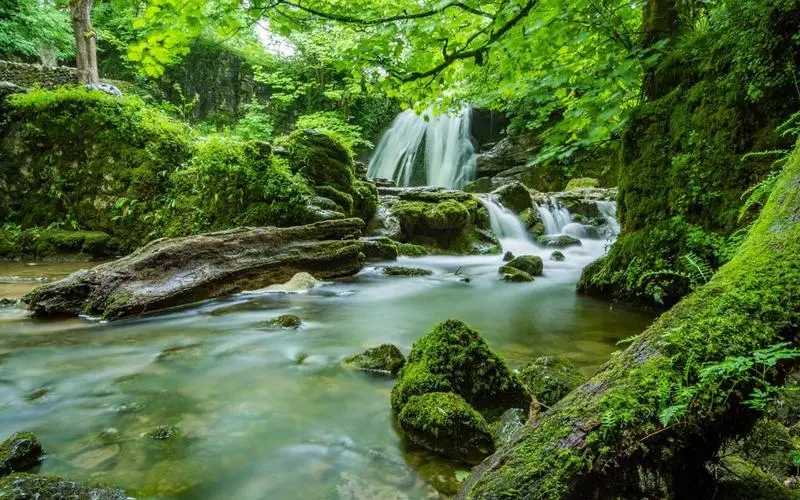 高效智能